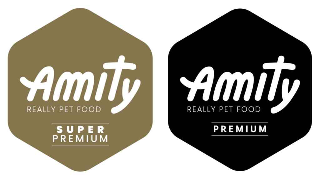 amity logo