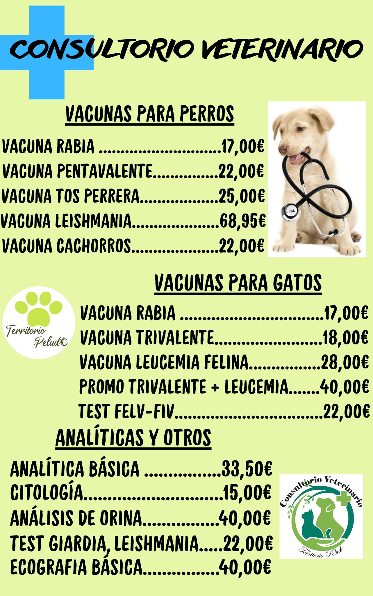 623275528 1736195490773267 6263218419994006019 n