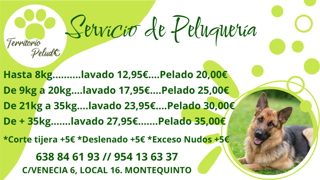 Nuevo de Peluqueria