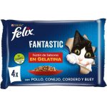 felix gelatina carne pack4