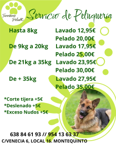 Nuevo de Peluqueria (Post de Instagram (45))