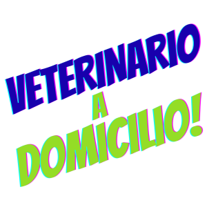 VETERINARIO A DOMICILIO!