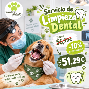 promo limpieza dental